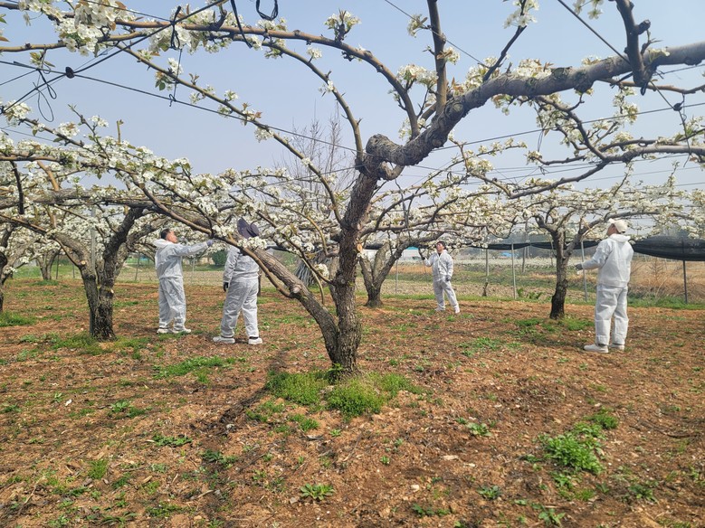 봄철 이상기후 선제 대응…원예작물 생...
